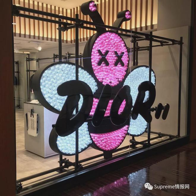 ws」新联名！蛇年限定发售了千亿网站「Dior x Ka(图9)