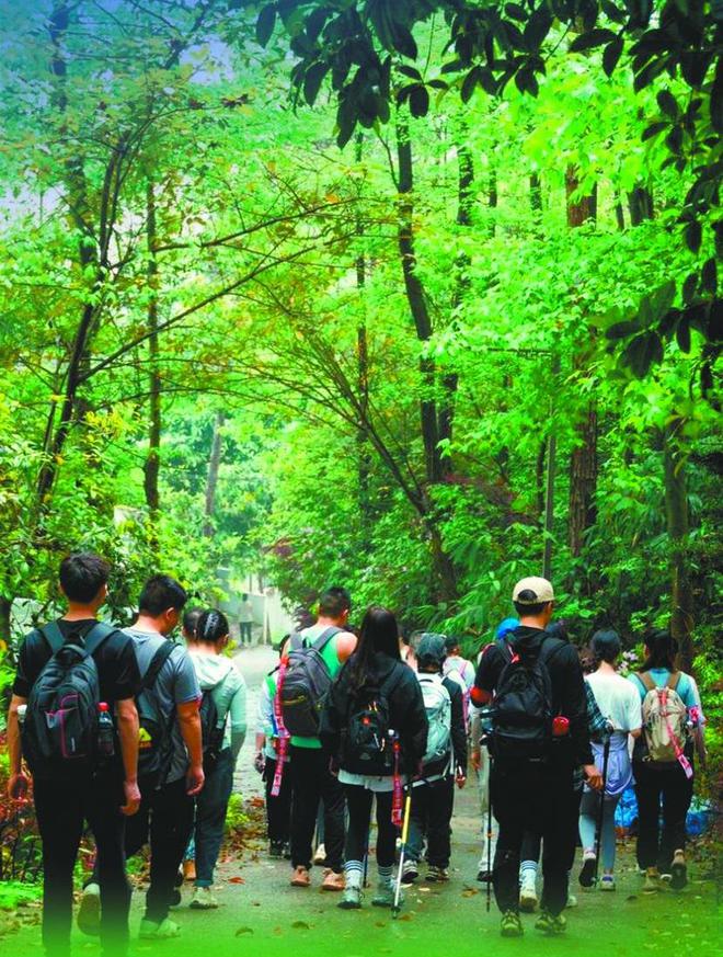 丨去没有天花板的地方撒欢千赢国际首页入口厢遇线期(图4)